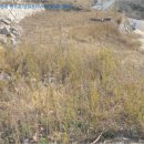 남해-293 이미지