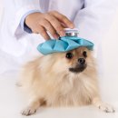 다독다독동물병원 이미지