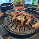 맛돼지 이미지