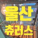 약수초교 병설유치원 이미지