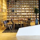 스테이느릿 이미지