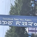 처갓집양념치킨월포점 이미지
