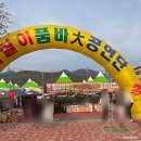 유가초등학교 | 2026년 제13회 달창지길 벚꽃축제 - 주차 정보 개화 현황 대구 벚꽃 명소 추천