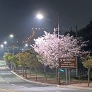 제일중학교~갓바위터널 이미지