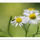 원당공원 이미지