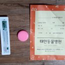 고양이천국 이미지