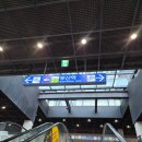 마닐 | [워크샵] 즐거운 워크샵 후기~|마닐다과|카네이션모나카