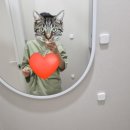 더사랑내과의원 이미지