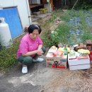 평산청과 이미지