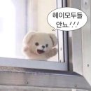 G3470 네이버블로그