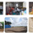 임금농장 이미지