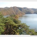 환산로 Daum카페