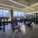 다미트짐 세류점 이미지