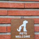 윌리스펫 이미지