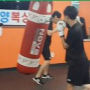 수원동양복싱 이미지