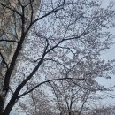 책읽고요리하는도서관(평일) | 아이들의 천국인데요! 여의도 브라이튼도서관 방문후기 (영어 키즈까페 및 어린이자료실 운영시간)