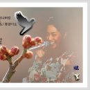 순정노래연습장 이미지