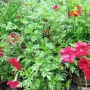 산유골 수목정원 이미지