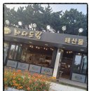 바다드림