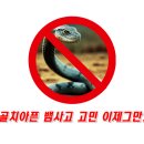 왔다집 이미지