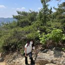전망대 화장실 네이버블로그