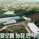 돌집농장 이미지