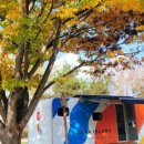 자라섬야외수영장 이미지