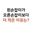 선천가설 이미지