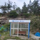 2025년 5월4일 신안 백야도 섬 여행 바다낚시 이미지