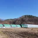 명계농장 이미지