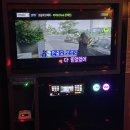 더파티소주호프노래타운