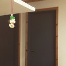 신풍민박 이미지