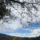 고복자연공원 수변 길 이미지