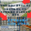 오프킥 이미지