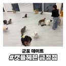 캣플헤븐 AK플라자금정점 이미지