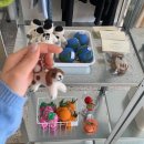 서홍스테이 | 🍊 제주도 여행 🍊