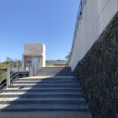 9.81 PARK JEJU 이미지