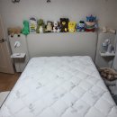 까사미아충주점 | 원주 소파,매트리스 청소는 어디? 청소로 고객님께 감동을 드리는 '클로리 홈케어'/영월 소파,매트리스...