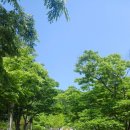 연수구 장미공원 앞 이미지