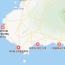 동일하모로 | 제주 EP12. 돌고래 구경할 수 있는 “제주 돌고래 힐링투어” 내돈내산 솔직후기