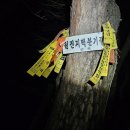 수도권지부 4월 정기산행(금북기맥) 이미지