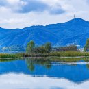 강가의아침 이미지