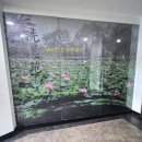 덕풍제2공영주차장 B3층 | [경기도/양평] 국내 최고의 연꽃정원 세미원(洗美苑) 내돈내산 후기 1 (연꽃박물관&amp;Semi ART SHOP)