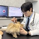 병팔농장 이미지