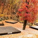 도사곡휴양림야영장 이미지