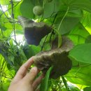 달래농장 이미지