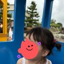 북로농장 | 제주동화마을 아이랑 가기 좋은 제주 핫플