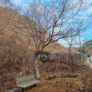 장안산 마실길 이미지