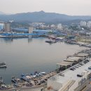 묵호등대바람의언덕논골카페 이미지