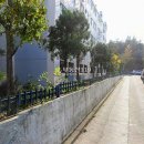 성곡로 63번길 이미지